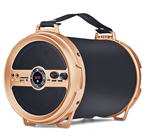 Iball Bluetooth Speaker Karaoke Studio L8 – Sound by Broot