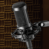 Audio Technica Side-address cardioid condenser microphone  AT2035