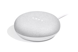 Google voice assistant Google Home Mini