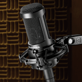 Audio Technica Side-address multi-pattern condenser microphone AT2050